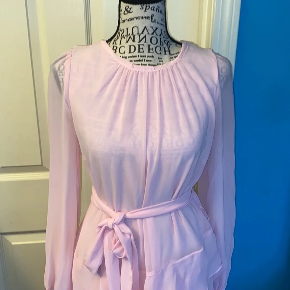 NWOT.  Express pink ruffled dress - Picture 2 of 7